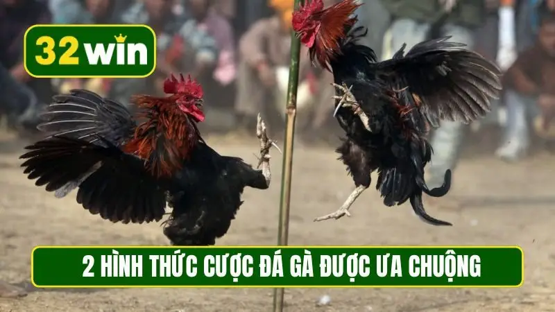 2 hình thức cược đá gà được ưa chuộng