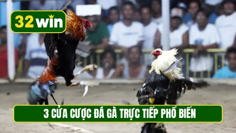 3 cửa cược đá gà trực tiếp phổ biến
